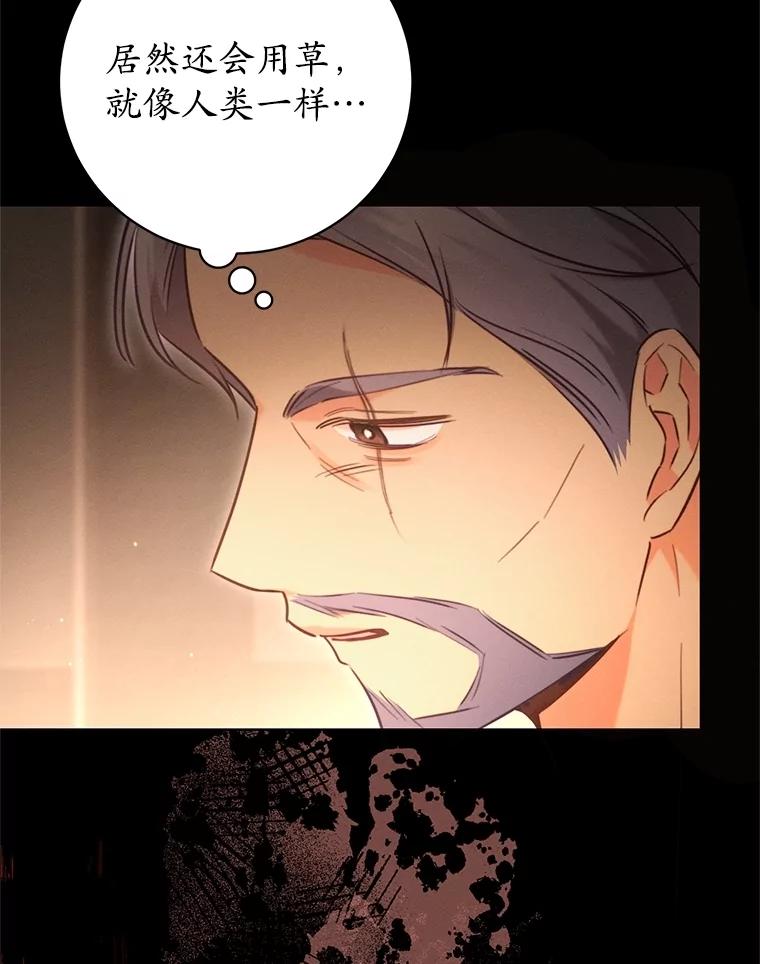《成为被诅咒的公爵家的女主人》5.别院里的小孩 第63页