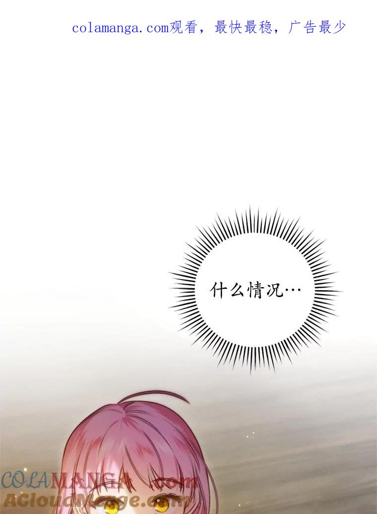 《成为被诅咒的公爵家的女主人》5.别院里的小孩 第1页