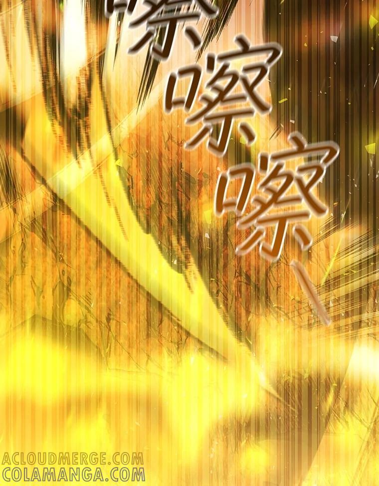 《噬龙魔法师》75.建国公 第69页