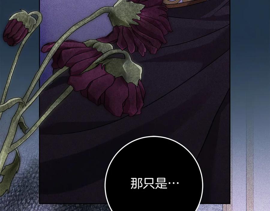《以使者之名》第77话 混乱的记忆 第211页