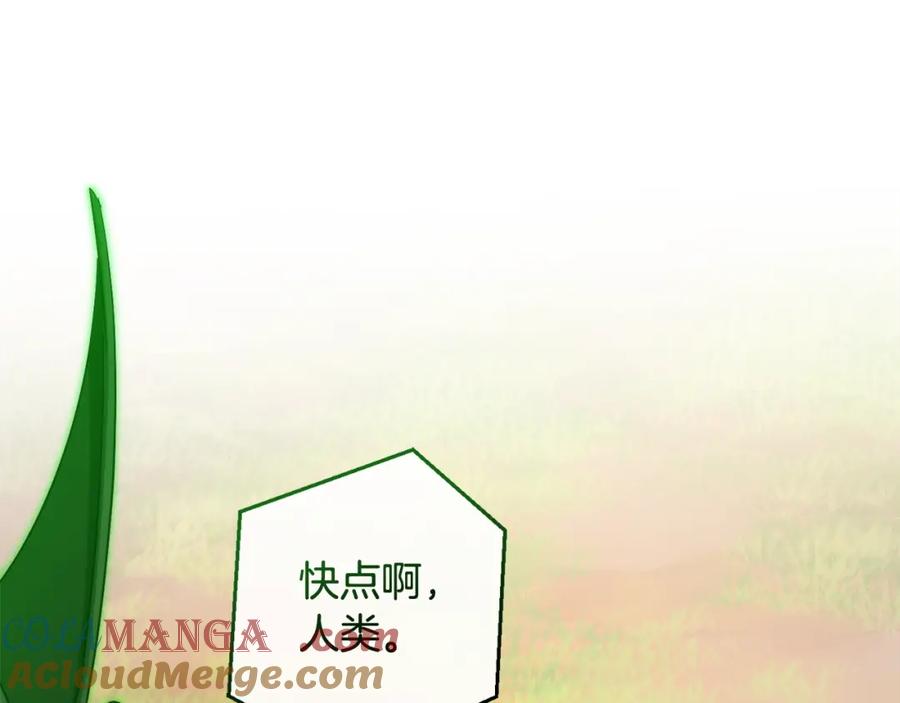 成为伯爵家的废物 第118话 行动开始 第177页