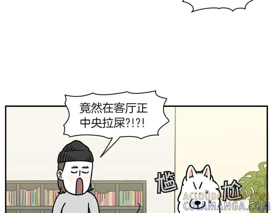 《我的狗子叫棉花》第59话 狗狗拉屎大王 第28页