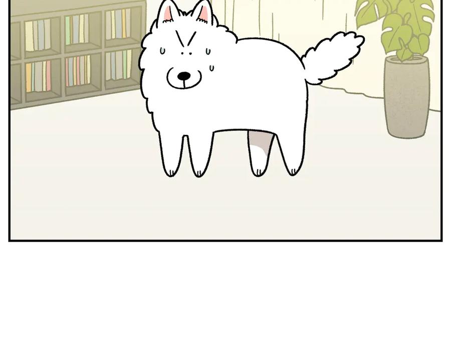 《我的狗子叫棉花》第59话 狗狗拉屎大王 第26页