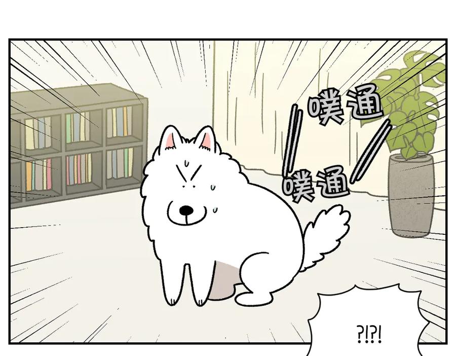 《我的狗子叫棉花》第59话 狗狗拉屎大王 第27页