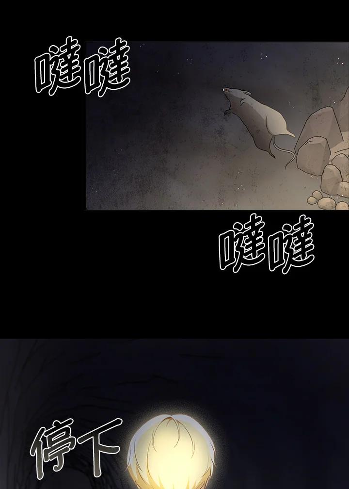 《成为皇帝的专属翻译》第27话 第71页