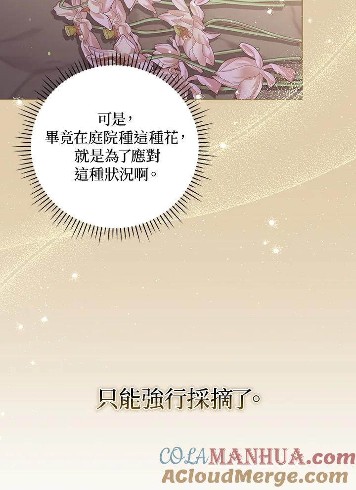 《成为皇帝的专属翻译》第37话 第41页