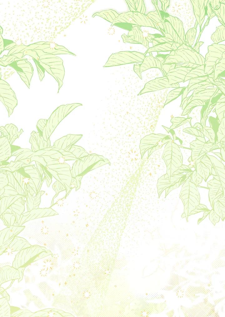 《成为皇帝的专属翻译》第49话 第62页