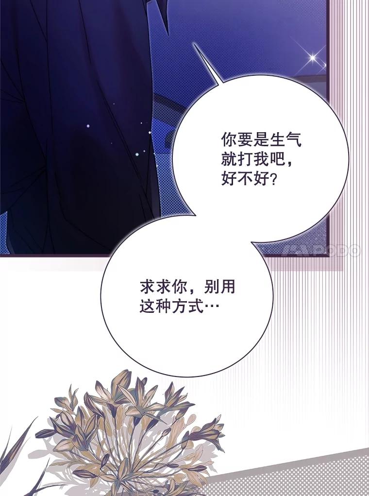 《比阿特丽丝》131.双胞胎？ 第43页