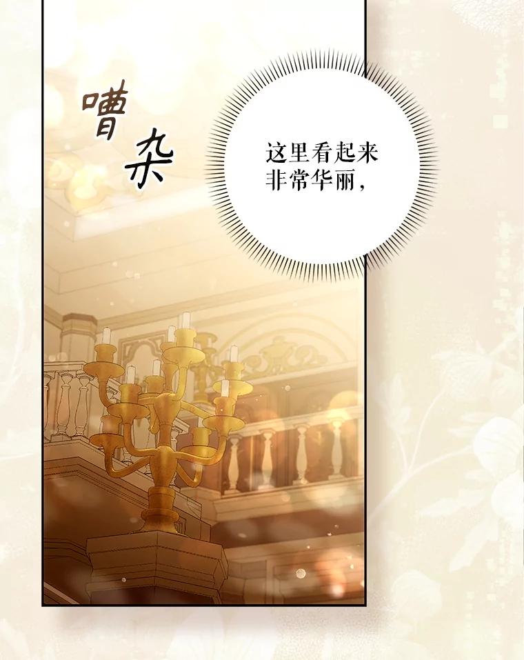 成为我笔下男主之妻 118.贵族聚会 第36页