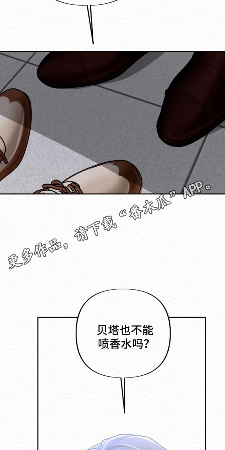 《给记忆添香》第34章：不要肤浅 第26页