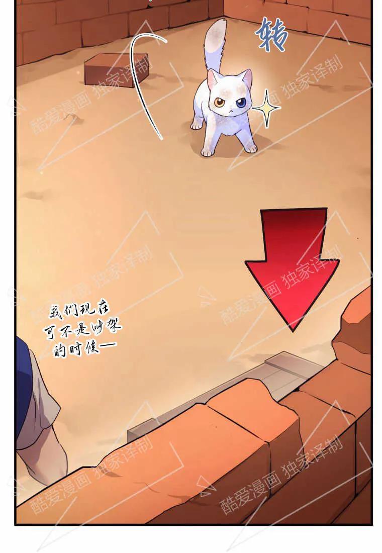 成为苏尔坦珍爱的猫咪 第01话 第132页