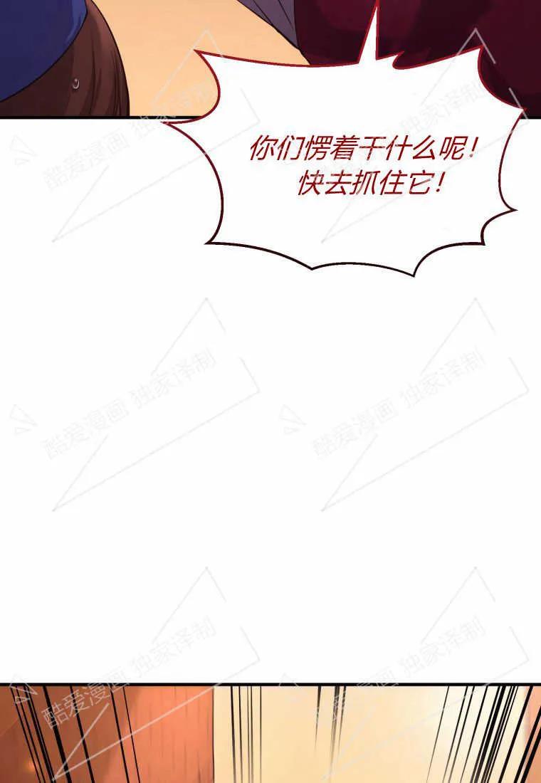 成为苏尔坦珍爱的猫咪 第01话 第139页