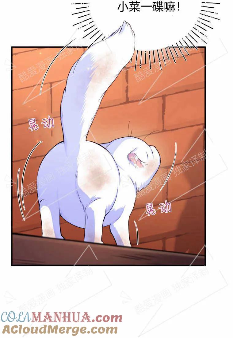 成为苏尔坦珍爱的猫咪 第01话 第137页