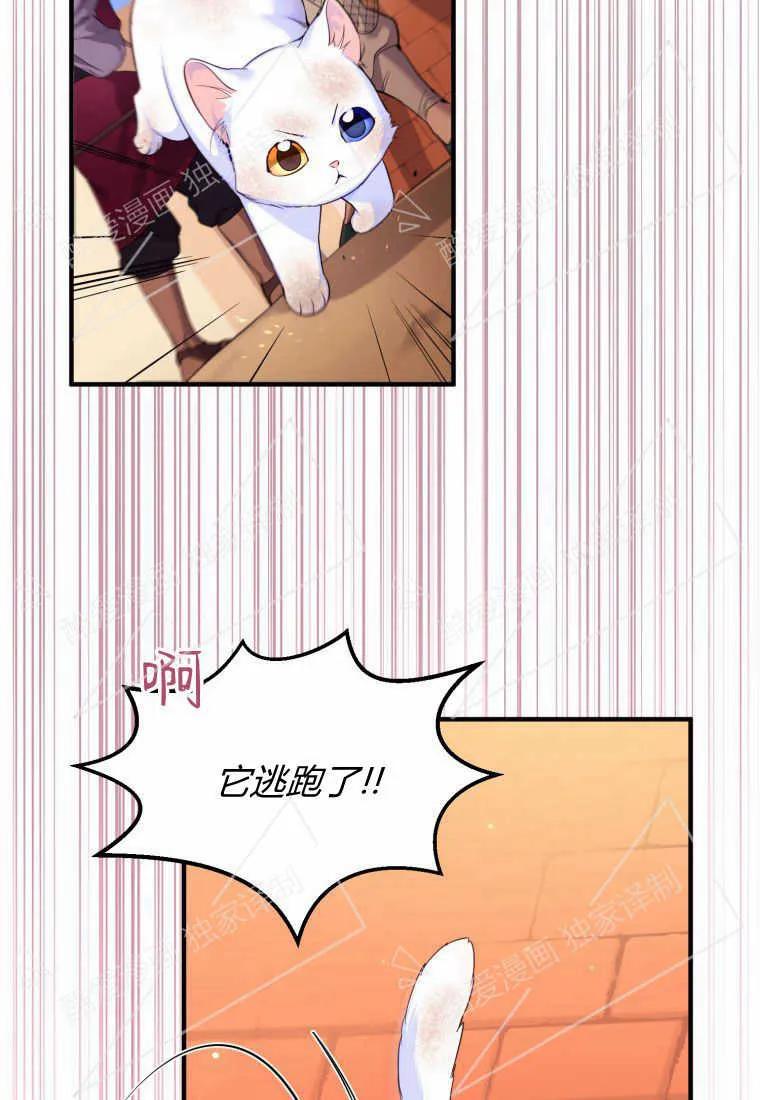成为苏尔坦珍爱的猫咪 第01话 第135页