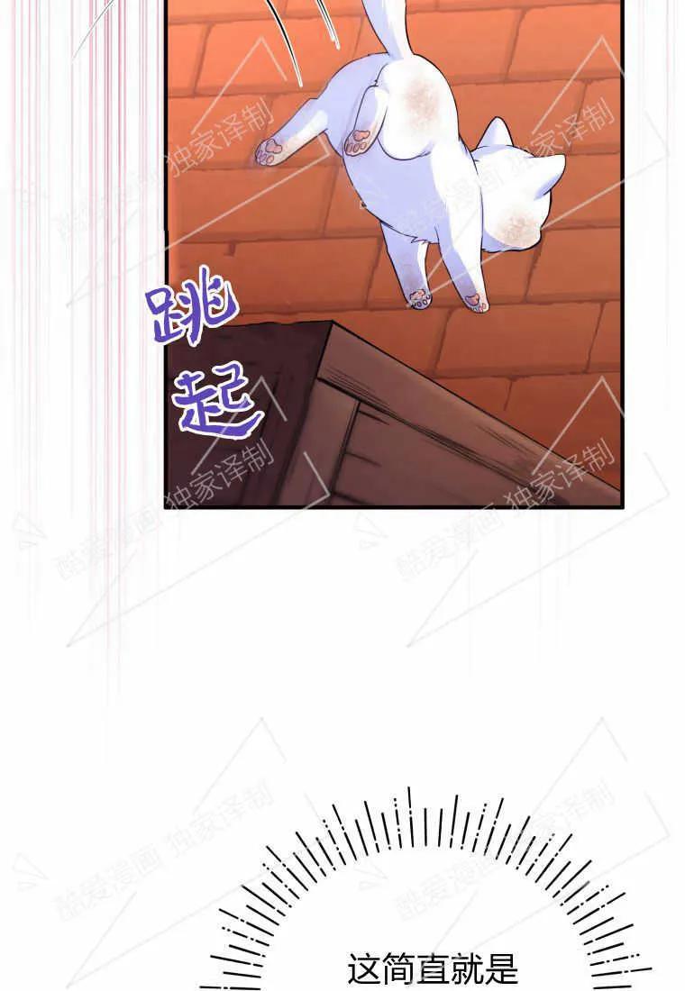 成为苏尔坦珍爱的猫咪 第01话 第136页