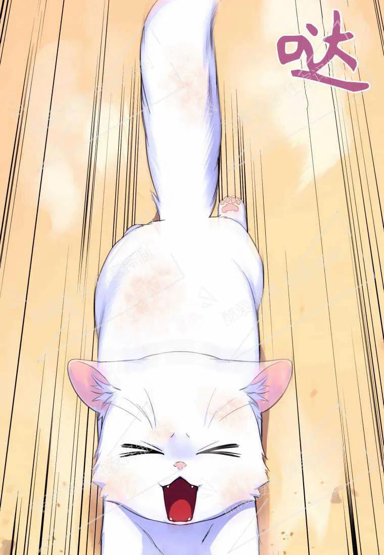 成为苏尔坦珍爱的猫咪 第01话 第112页