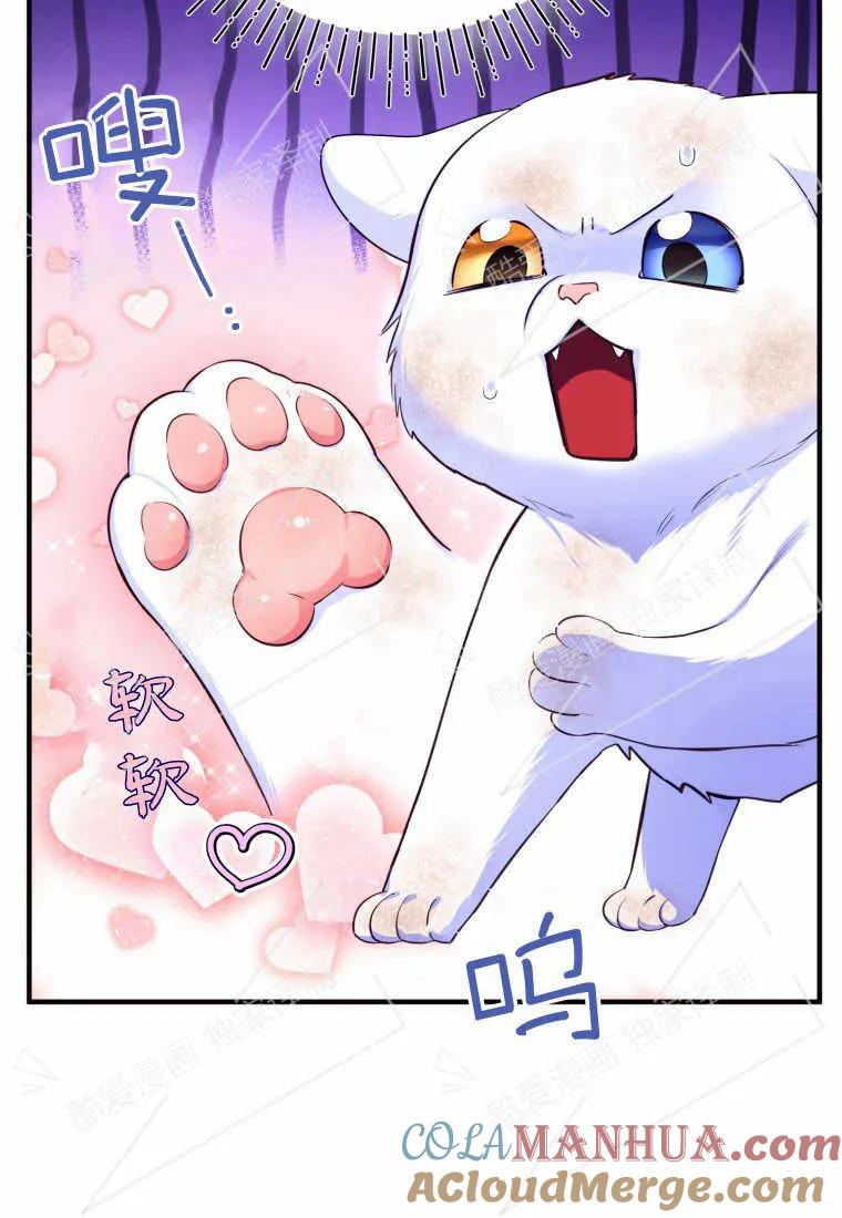 成为苏尔坦珍爱的猫咪 第01话 第125页