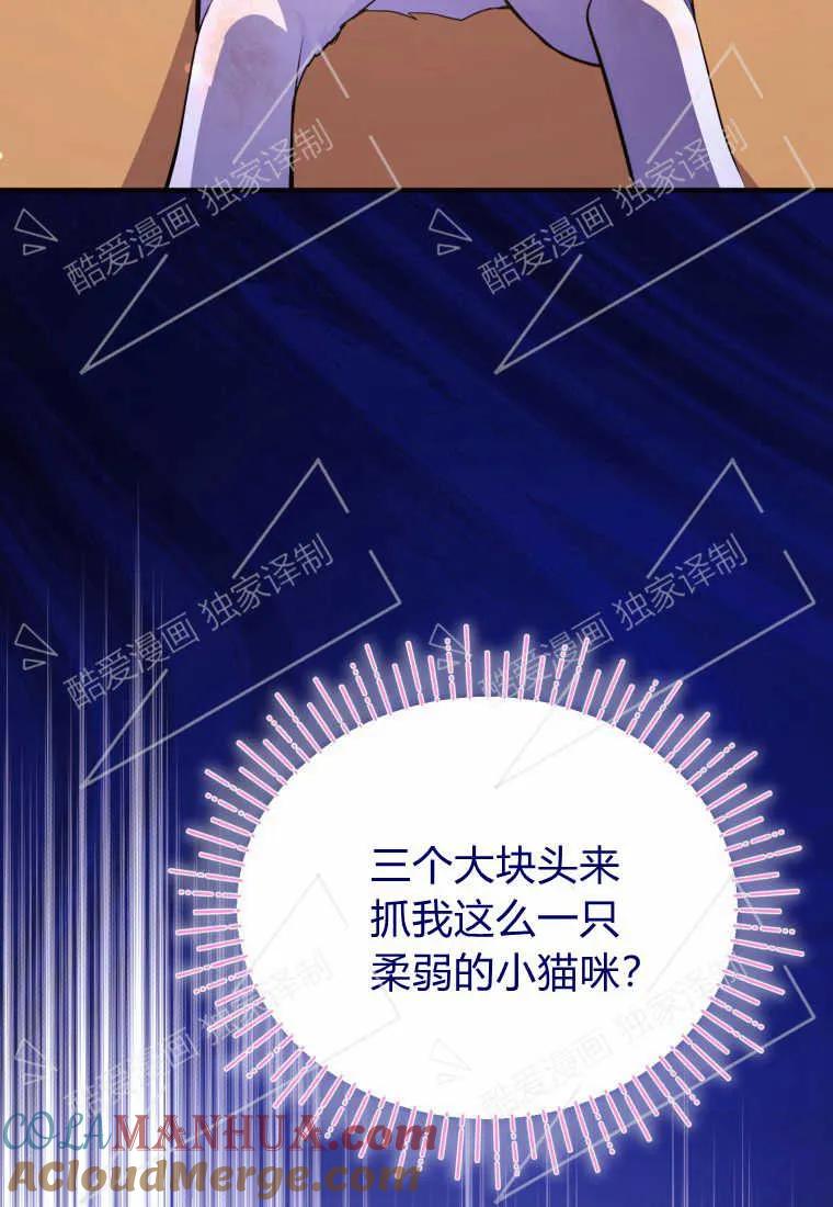 成为苏尔坦珍爱的猫咪 第01话 第121页