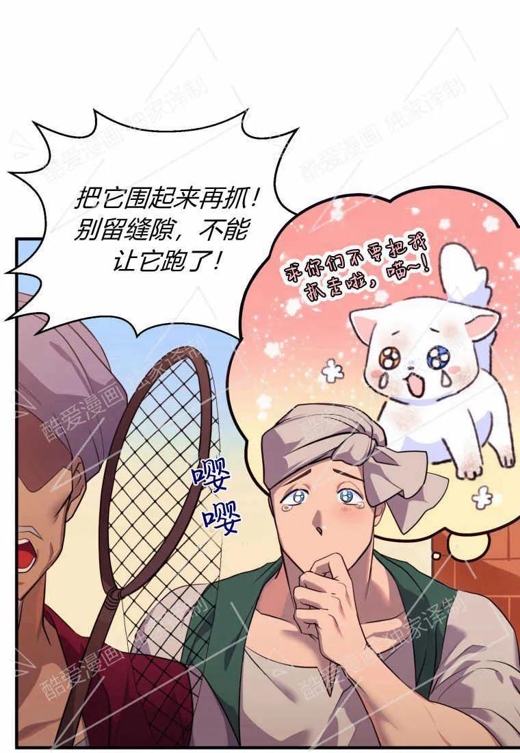 成为苏尔坦珍爱的猫咪 第01话 第126页