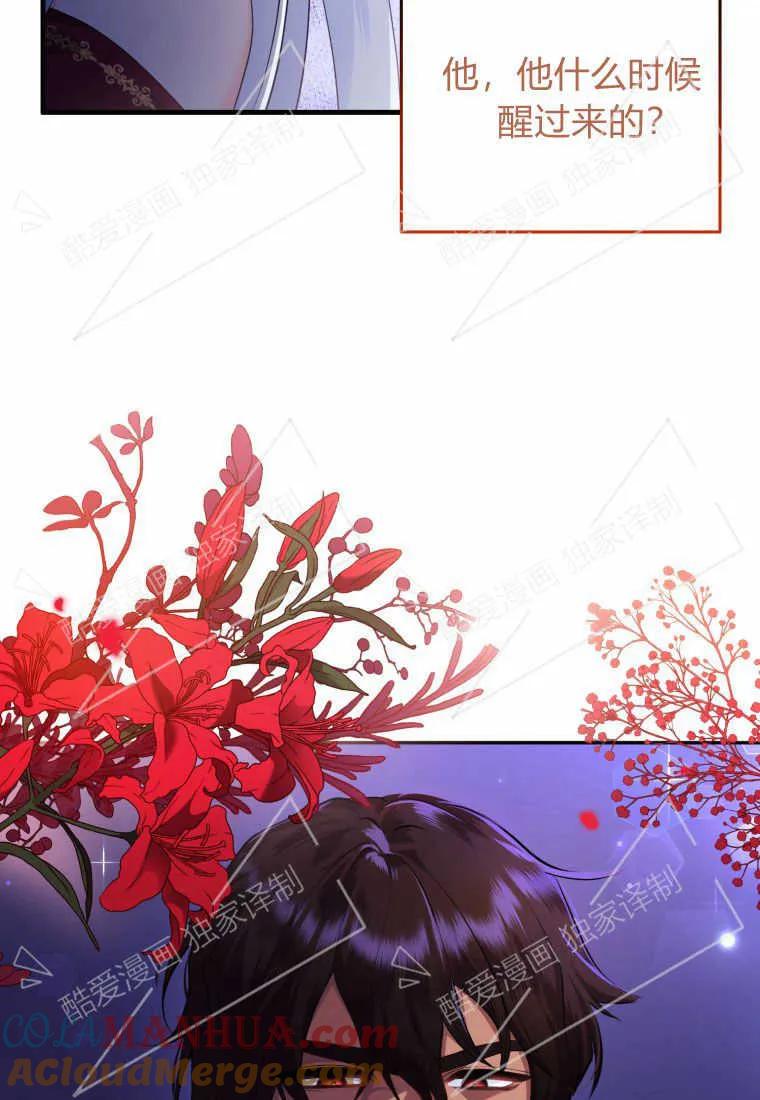 成为苏尔坦珍爱的猫咪 第01话 第41页