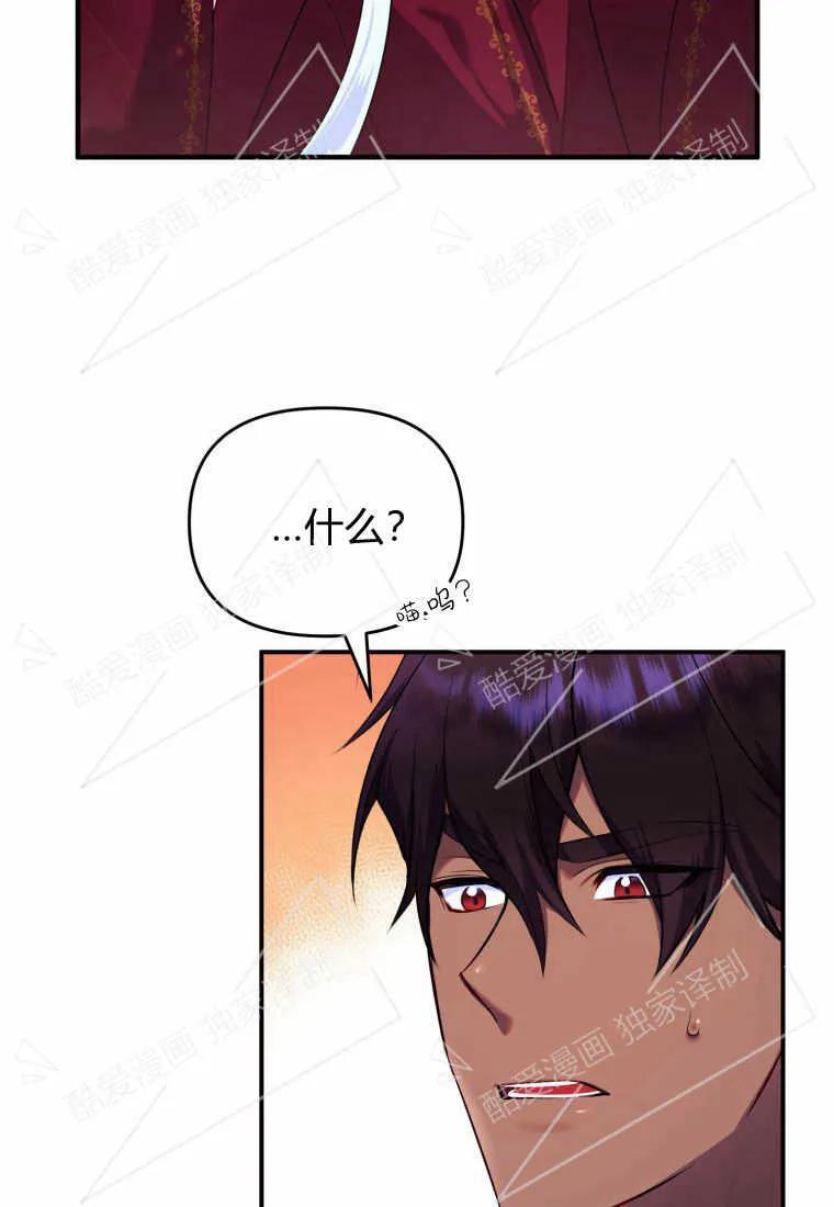 成为苏尔坦珍爱的猫咪 第01话 第94页