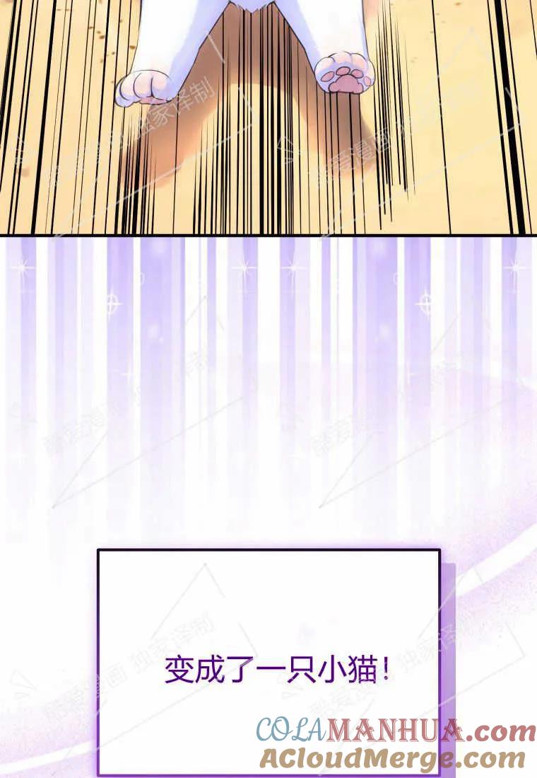 成为苏尔坦珍爱的猫咪 第01话 第113页