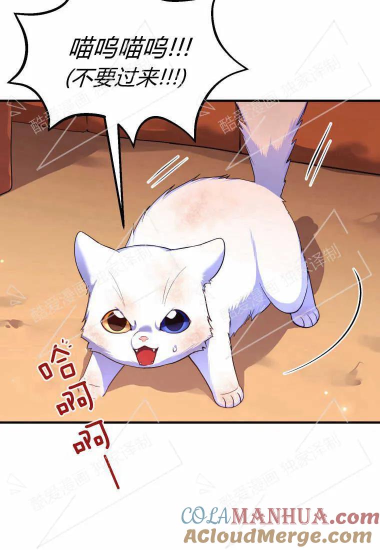 成为苏尔坦珍爱的猫咪 第01话 第117页