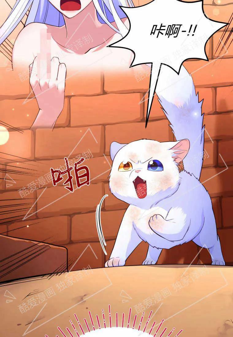 成为苏尔坦珍爱的猫咪 第01话 第123页