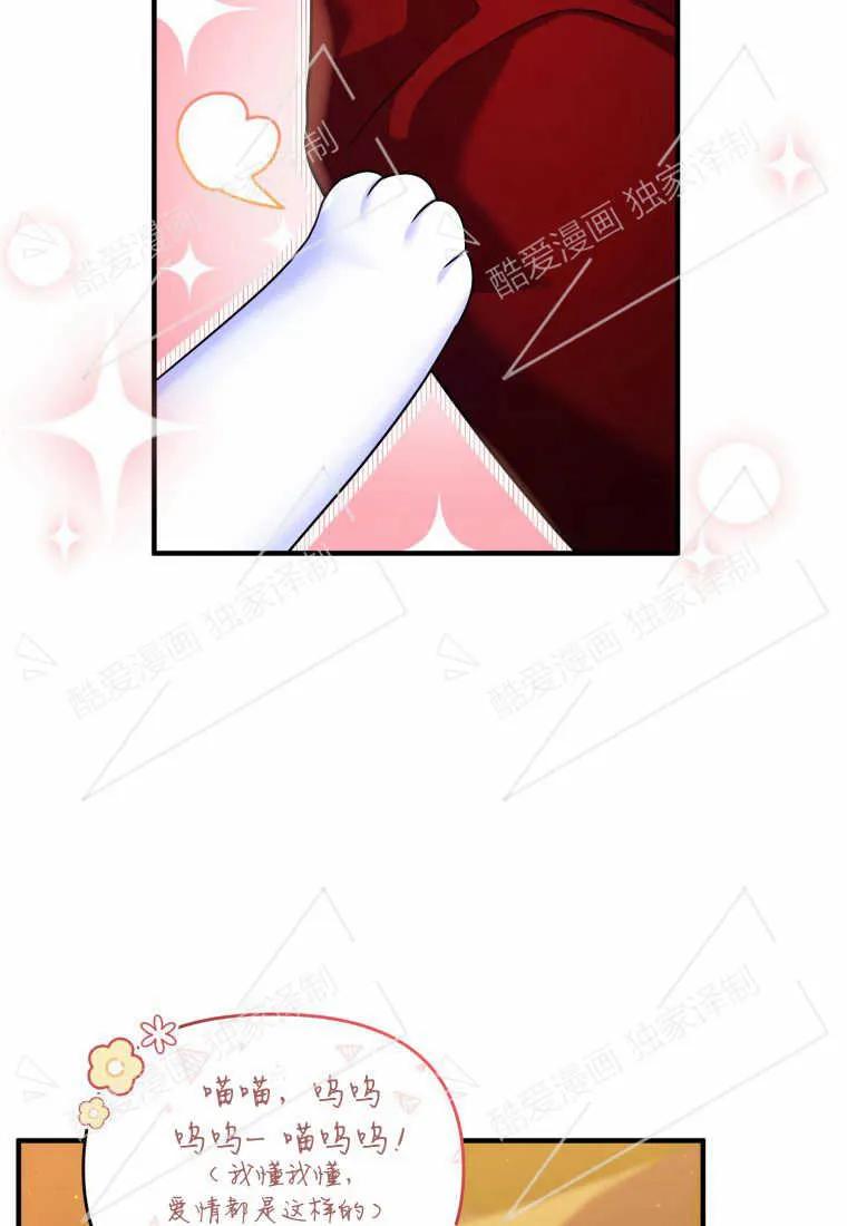 成为苏尔坦珍爱的猫咪 第10话 第65页