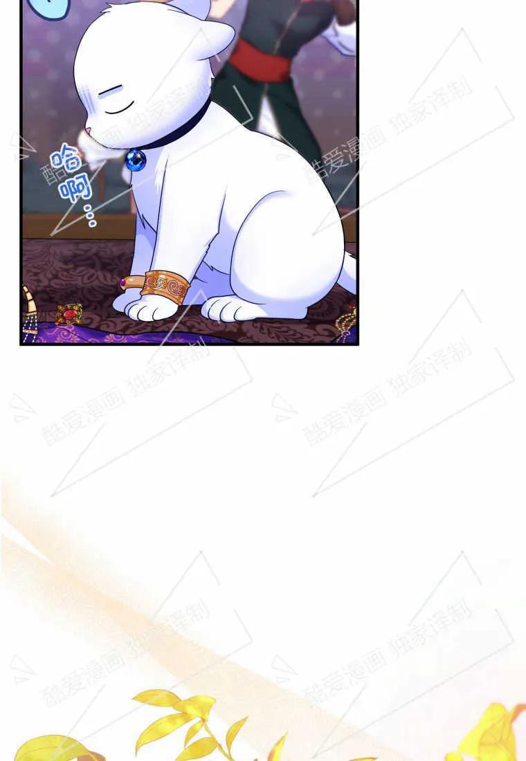成为苏尔坦珍爱的猫咪 第10话 第47页