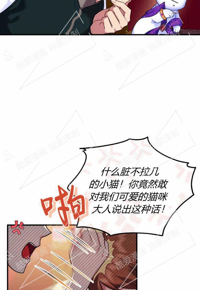 成为苏尔坦珍爱的猫咪 第10话 第41页