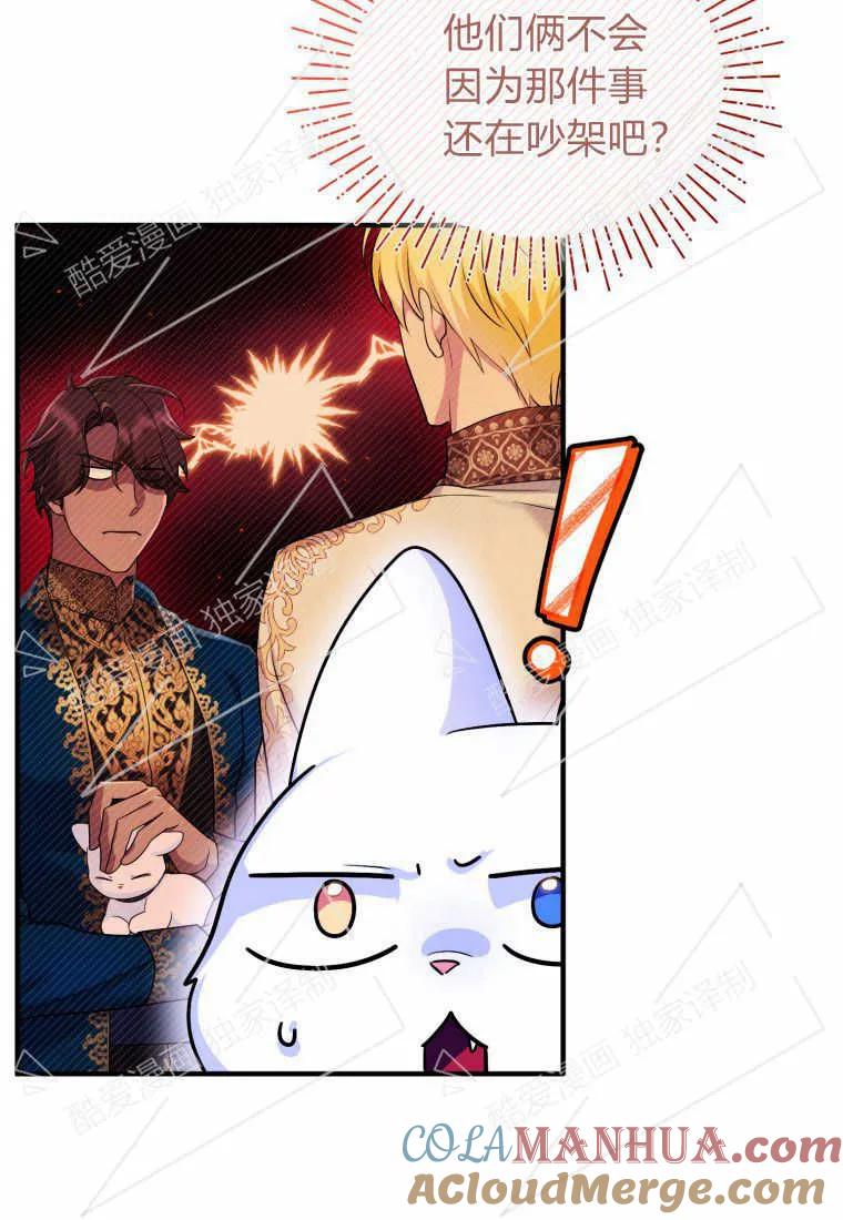 成为苏尔坦珍爱的猫咪 第10话 第19页