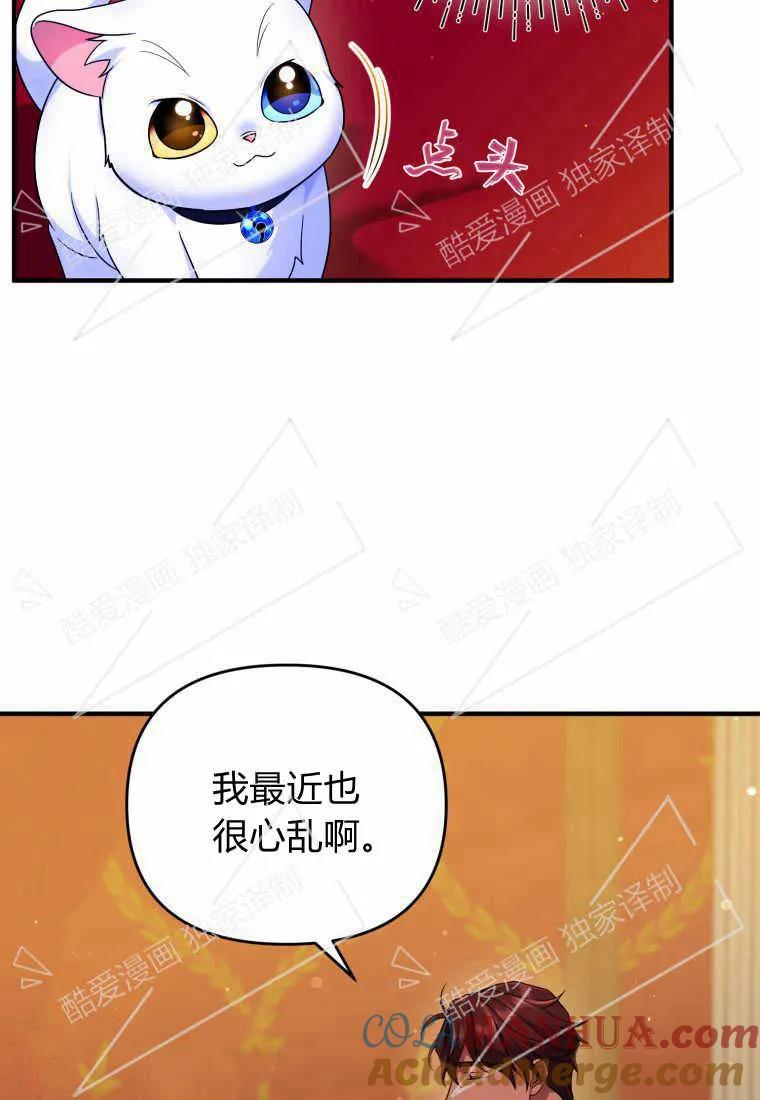 成为苏尔坦珍爱的猫咪 第10话 第58页