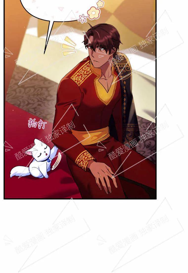 成为苏尔坦珍爱的猫咪 第10话 第66页