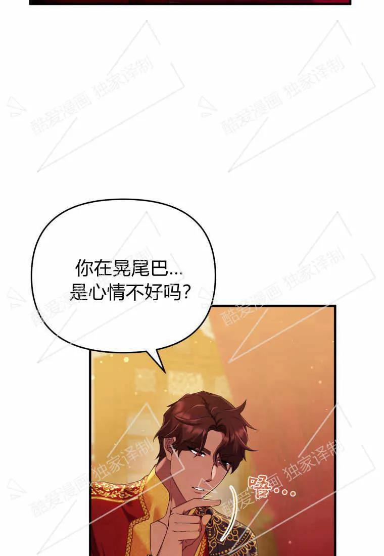 成为苏尔坦珍爱的猫咪 第10话 第56页