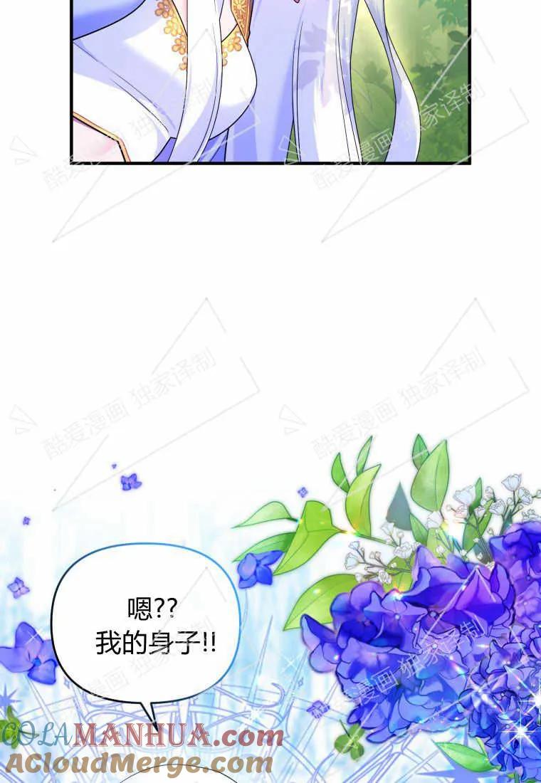 成为苏尔坦珍爱的猫咪 第10话 第91页