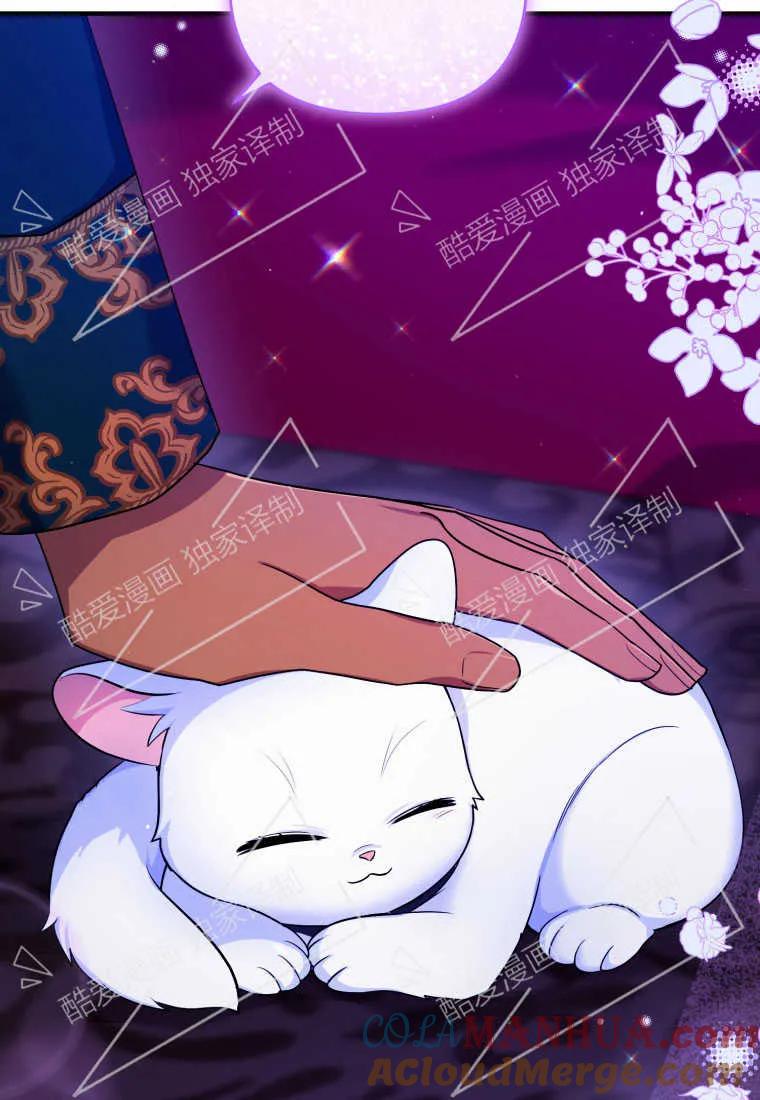 成为苏尔坦珍爱的猫咪 第10话 第31页