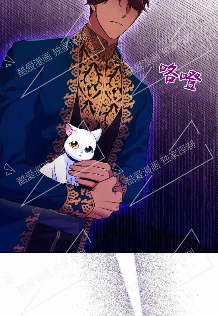 成为苏尔坦珍爱的猫咪 第10话 第2页