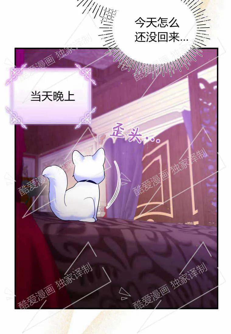成为苏尔坦珍爱的猫咪 第10话 第14页