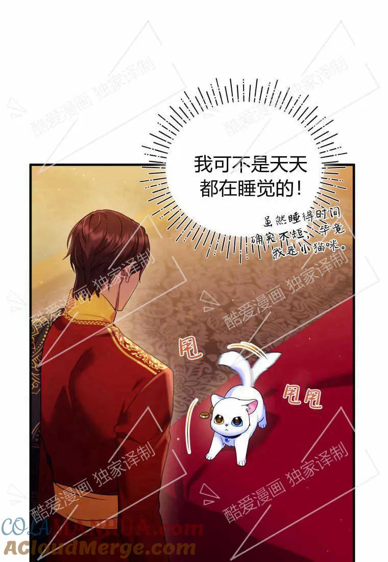 成为苏尔坦珍爱的猫咪 第10话 第55页