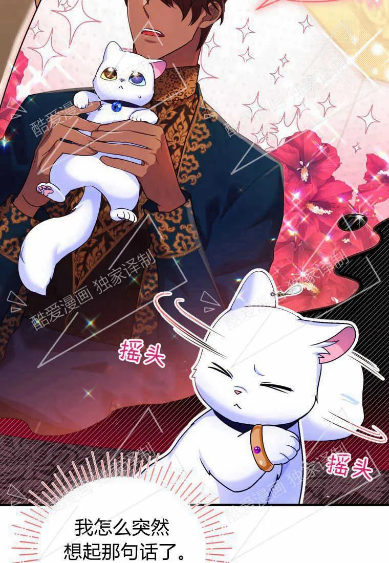 成为苏尔坦珍爱的猫咪 第10话 第45页