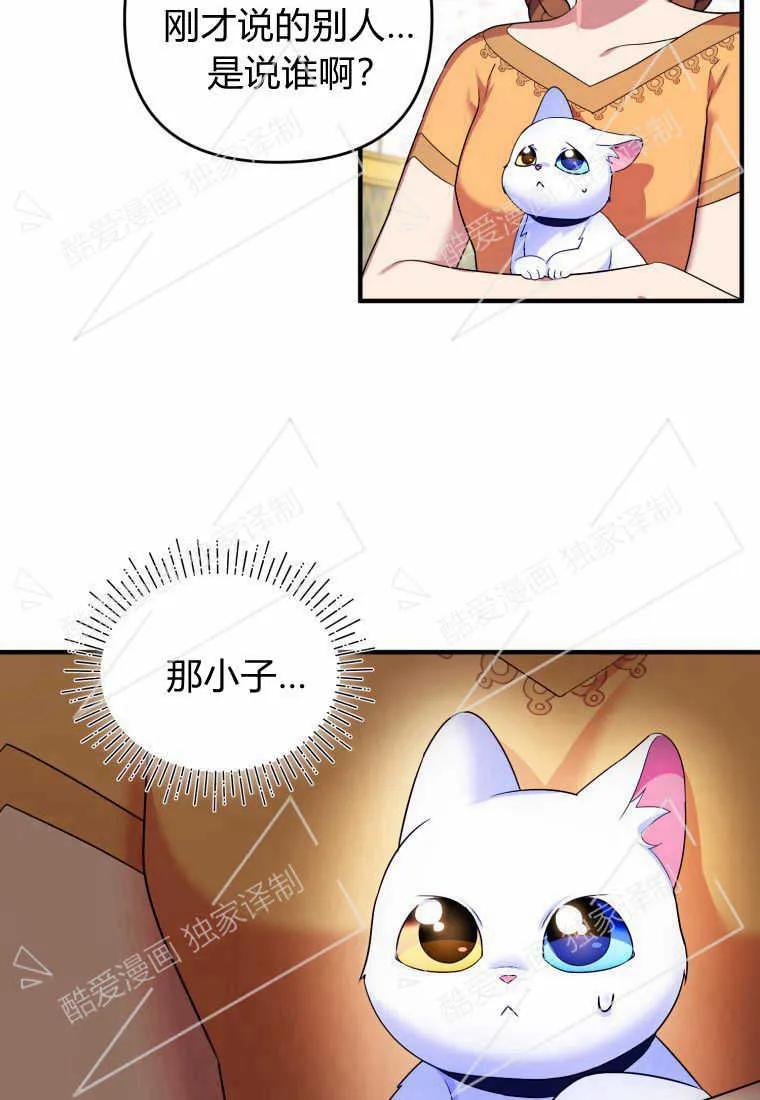 成为苏尔坦珍爱的猫咪 第10话 第11页