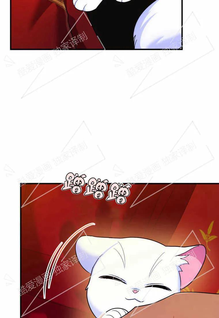 成为苏尔坦珍爱的猫咪 第10话 第77页