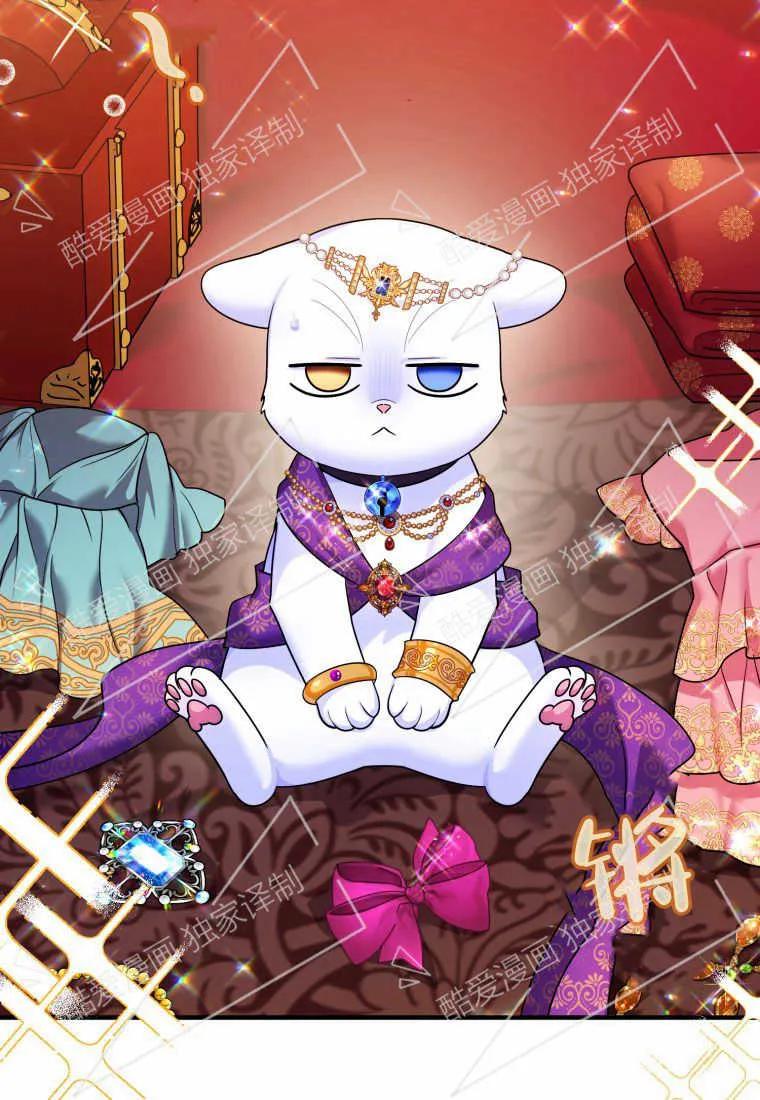 成为苏尔坦珍爱的猫咪 第10话 第35页