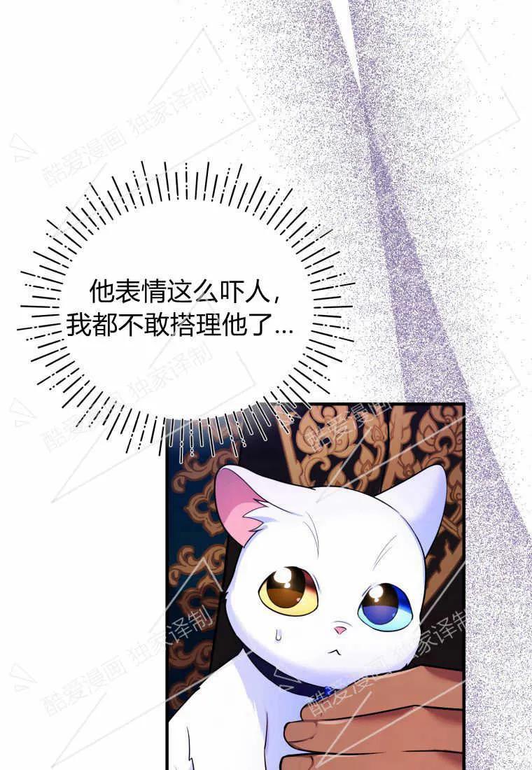 成为苏尔坦珍爱的猫咪 第10话 第3页