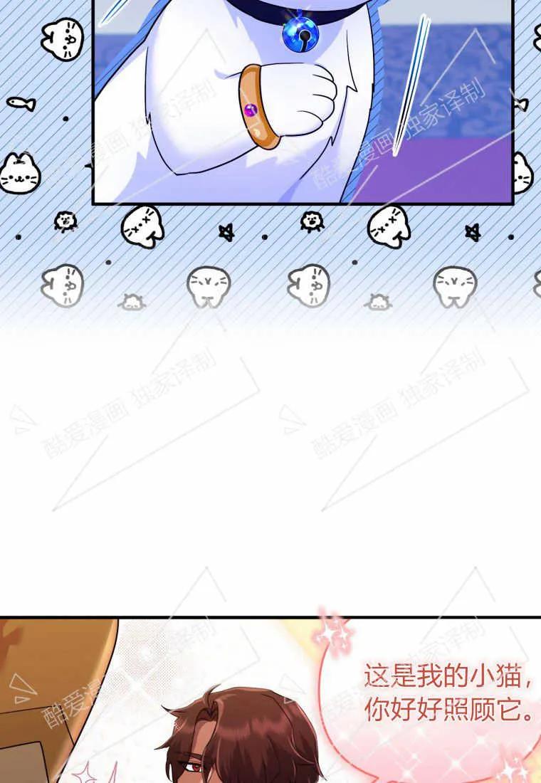 成为苏尔坦珍爱的猫咪 第10话 第44页