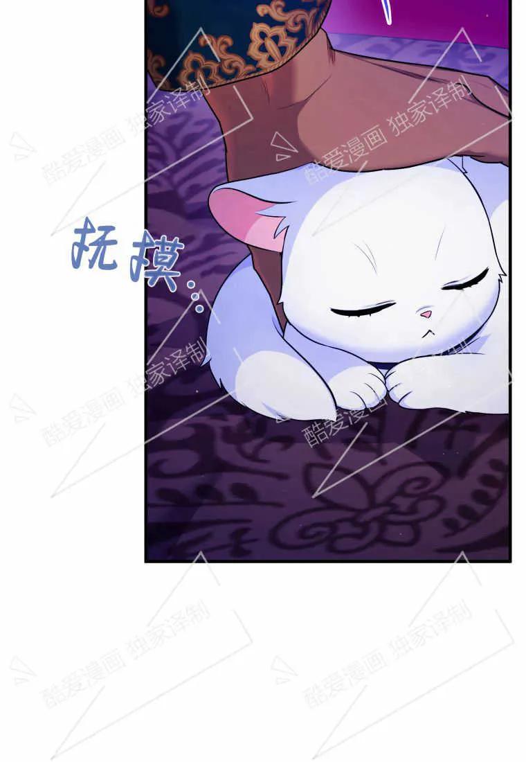 成为苏尔坦珍爱的猫咪 第10话 第27页