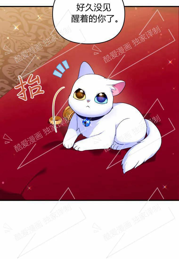 成为苏尔坦珍爱的猫咪 第10话 第54页