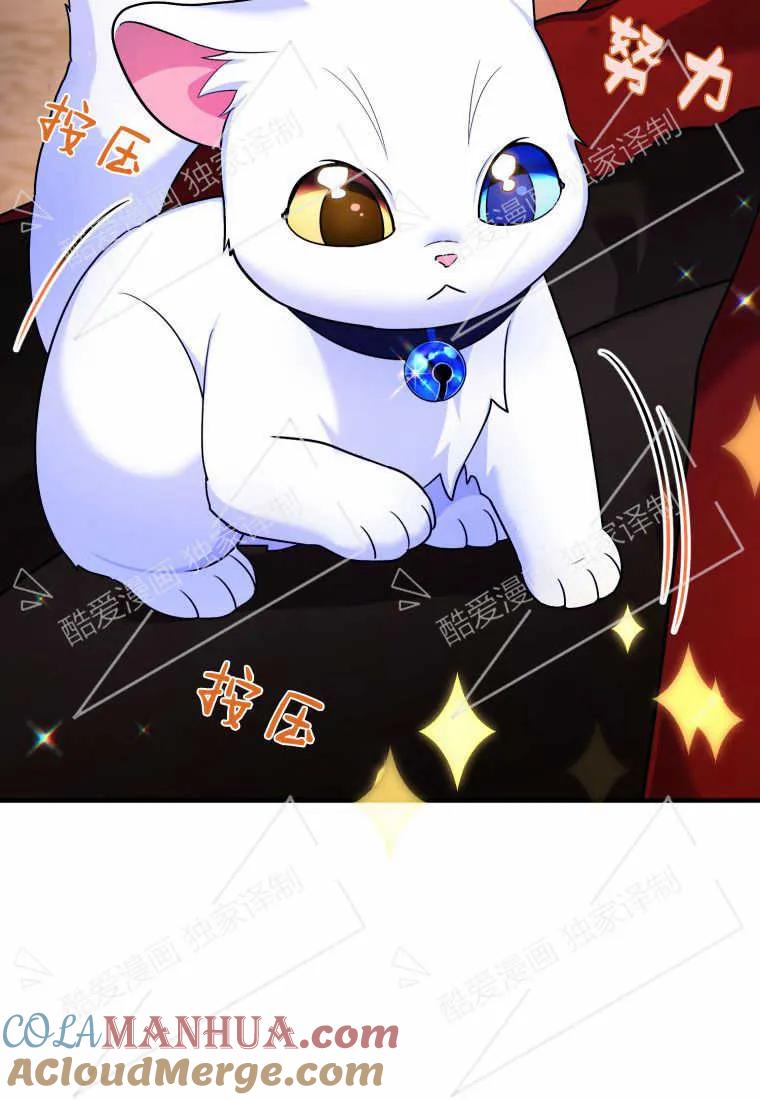 成为苏尔坦珍爱的猫咪 第10话 第73页