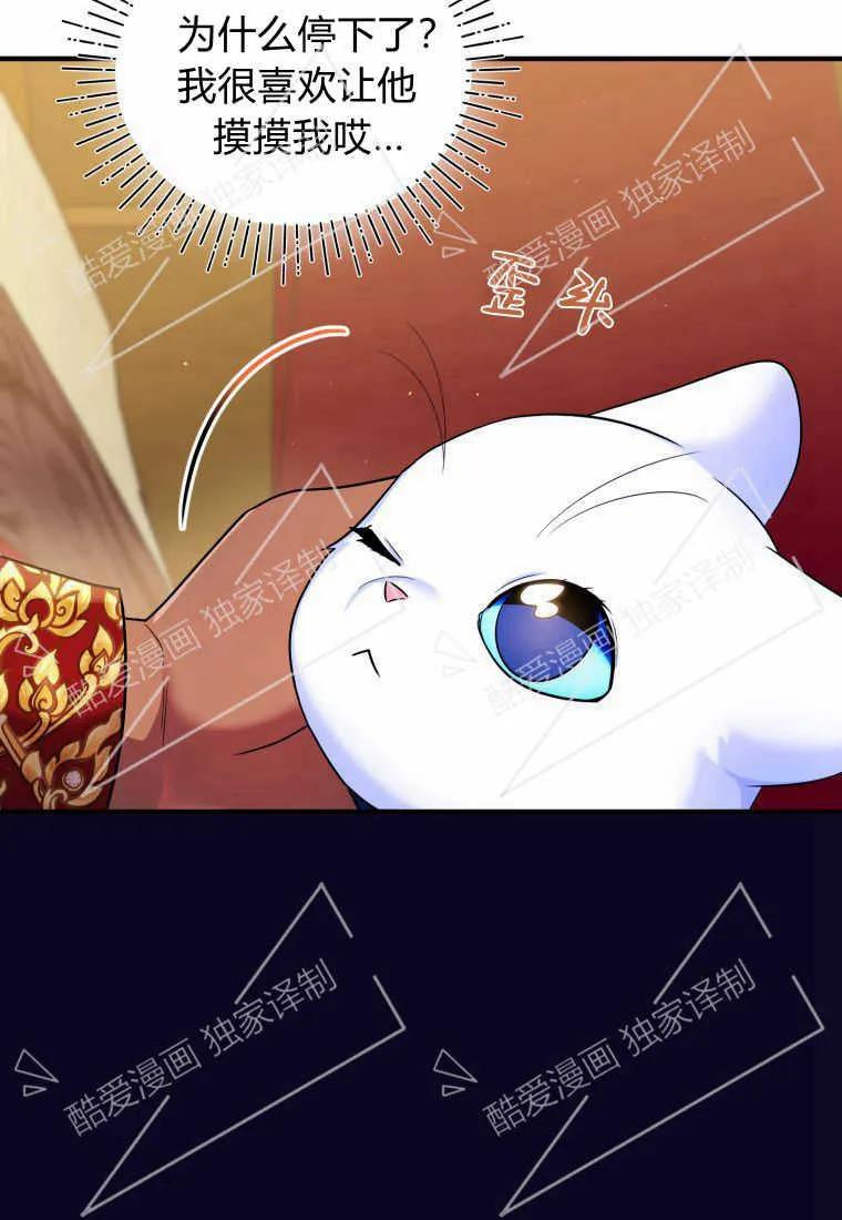 成为苏尔坦珍爱的猫咪 第10话 第80页